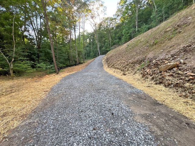 Lot 17 Mt. Springer Road, Ellijay, GA 30540