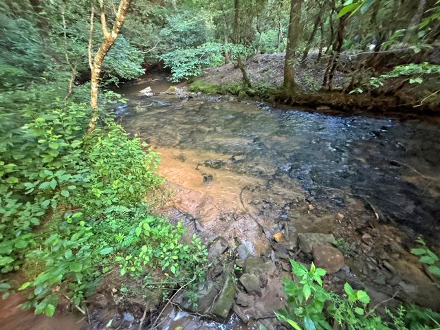 Lot 17 Mt. Springer Road, Ellijay, GA 30540