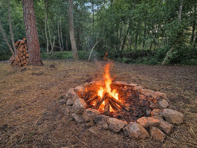 Lot 17 Mt. Springer Road, Ellijay, GA 30540