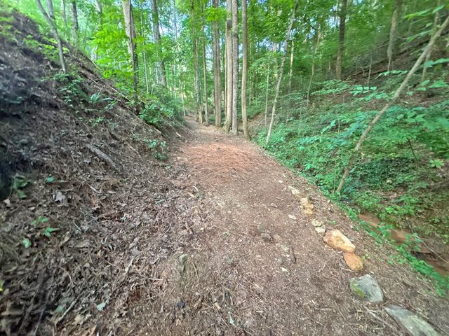 Lot 17 Mt. Springer Road, Ellijay, GA 30540