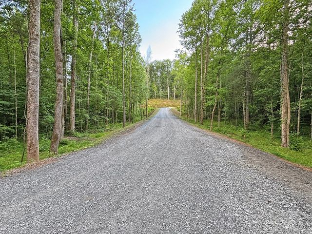 Lot 17 Mt. Springer Road, Ellijay, GA 30540
