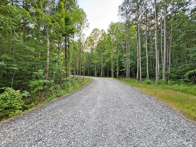Lot 17 Mt. Springer Road, Ellijay, GA 30540