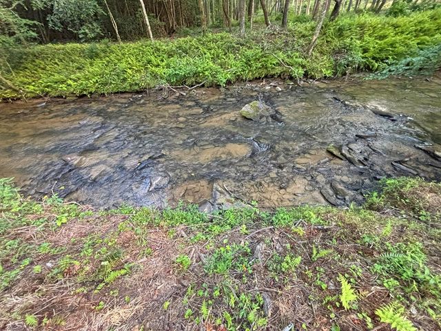 Lot 17 Mt. Springer Road, Ellijay, GA 30540