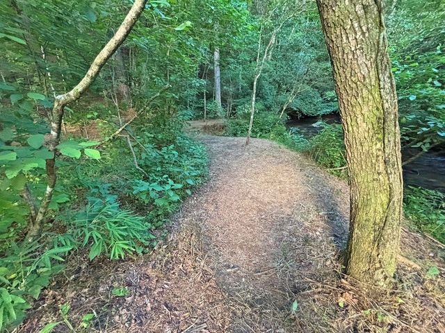 Lot 17 Mt. Springer Road, Ellijay, GA 30540