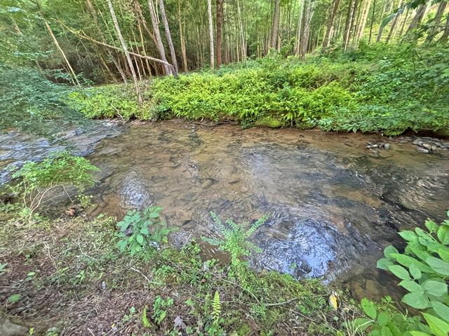 Lot 17 Mt. Springer Road, Ellijay, GA 30540