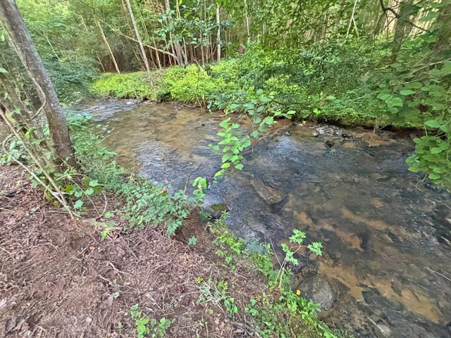 Lot 17 Mt. Springer Road, Ellijay, GA 30540