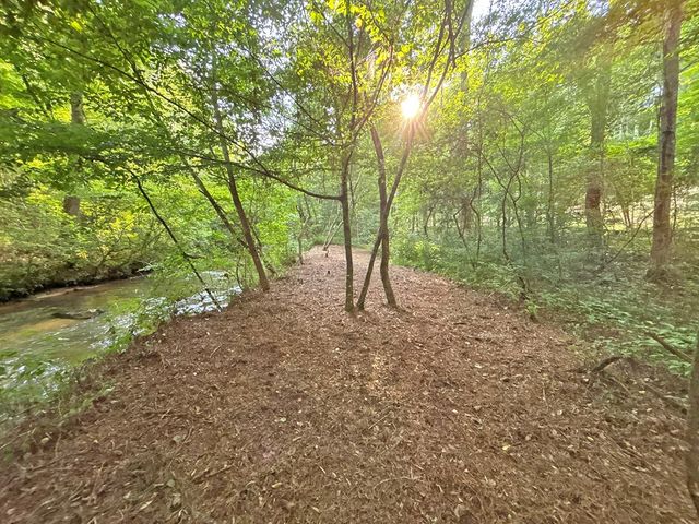 Lot 17 Mt. Springer Road, Ellijay, GA 30540