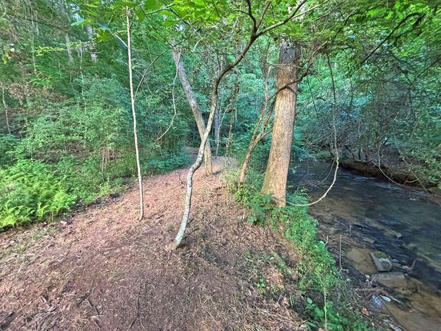Lot 17 Mt. Springer Road, Ellijay, GA 30540