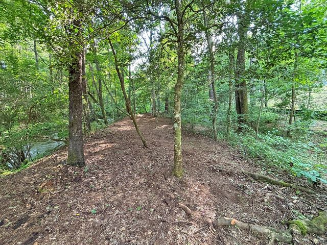 Lot 17 Mt. Springer Road, Ellijay, GA 30540
