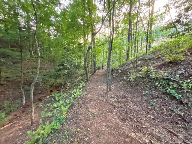 Lot 17 Mt. Springer Road, Ellijay, GA 30540