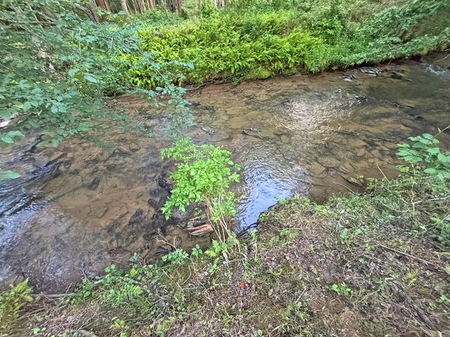 Lot 17 Mt. Springer Road, Ellijay, GA 30540