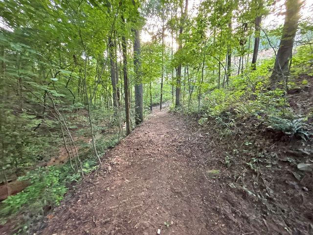 Lot 17 Mt. Springer Road, Ellijay, GA 30540