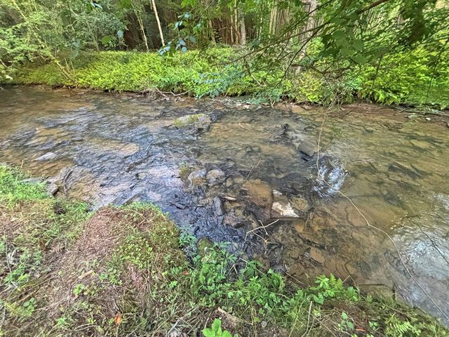 Lot 17 Mt. Springer Road, Ellijay, GA 30540