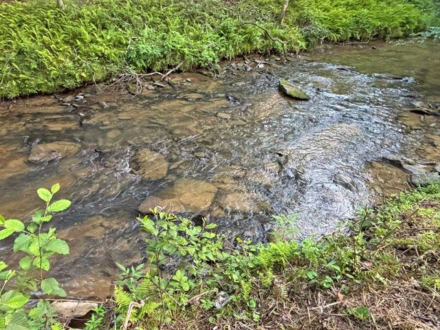Lot 17 Mt. Springer Road, Ellijay, GA 30540