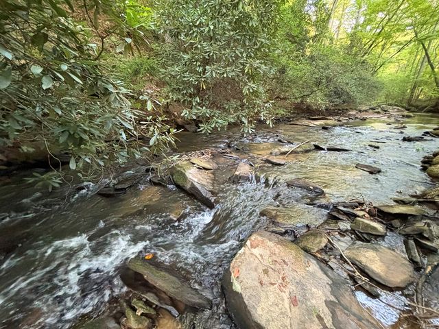 Lot 17 Mt. Springer Road, Ellijay, GA 30540