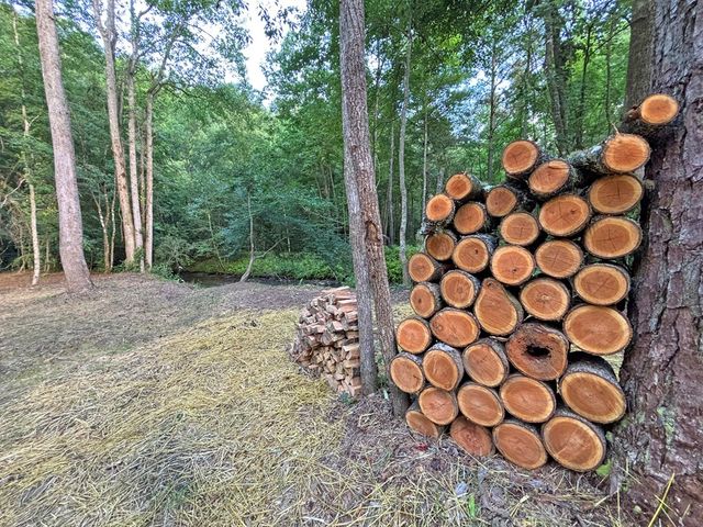 Lot 17 Mt. Springer Road, Ellijay, GA 30540