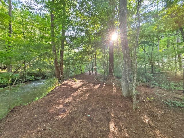 Lot 17 Mt. Springer Road, Ellijay, GA 30540
