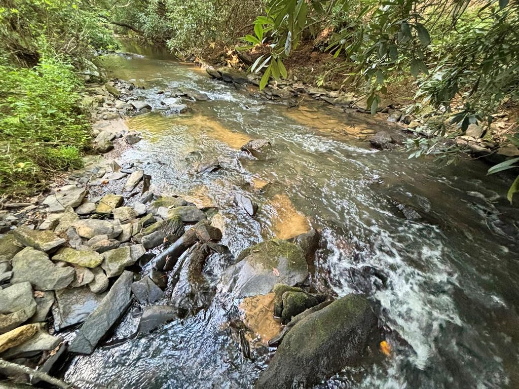 Lot 17 Mt. Springer Road, Ellijay, GA 30540