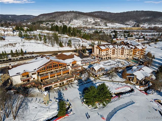 15 Alpine Meadow, Ellicottville, NY 14731