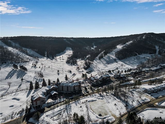 15 Alpine Meadow, Ellicottville, NY 14731