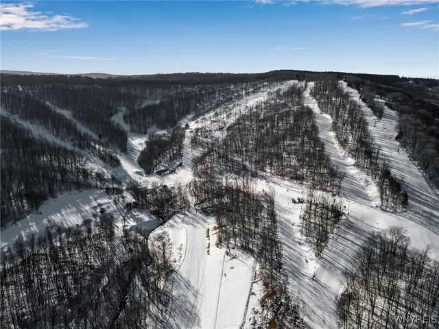 15 Alpine Meadow, Ellicottville, NY 14731