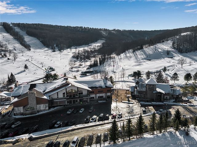 15 Alpine Meadow, Ellicottville, NY 14731