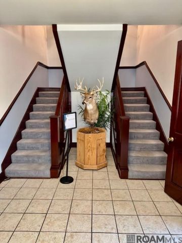 11021 Perkins Rd, Baton Rouge, LA 70810