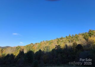 Tracts 2A & 2B Rabbit Skin Road, Waynesville, NC 28785