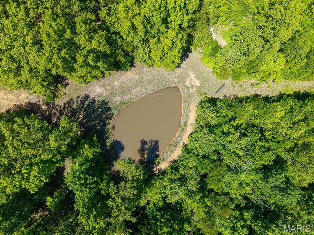 9716 State Highway A, Patton, MO 63662