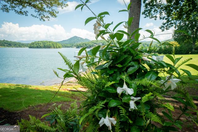 313 Omega Way, Hiawassee, GA 30546