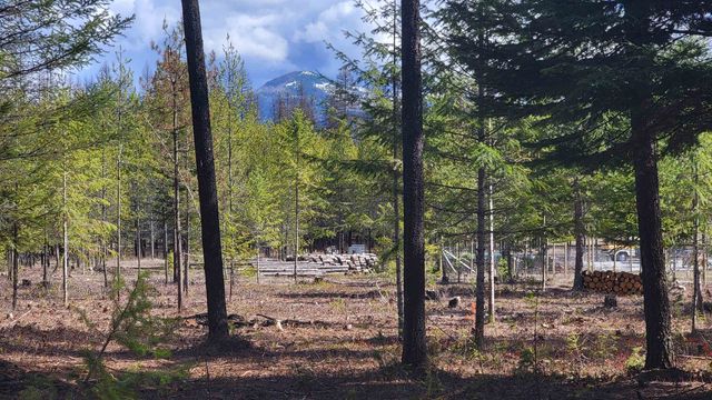 NKN Spring Valley Rd, Newport, WA 99156