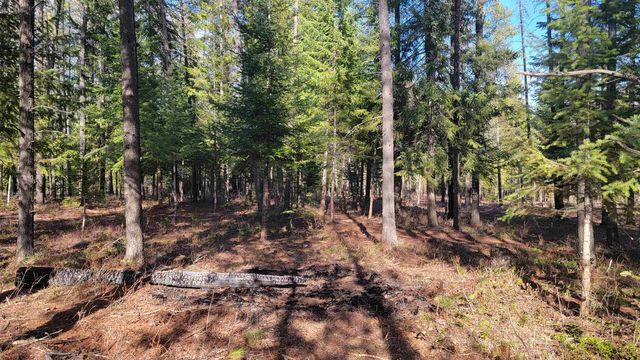 NKN Spring Valley Rd, Newport, WA 99156