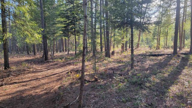 NKN Spring Valley Rd, Newport, WA 99156