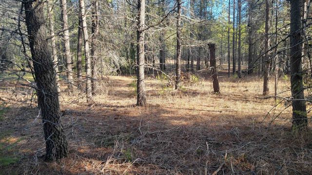 NKN Spring Valley Rd, Newport, WA 99156