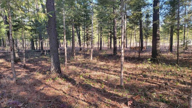 NKN Spring Valley Rd, Newport, WA 99156