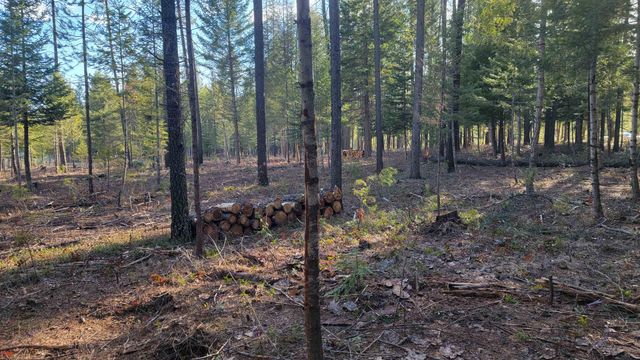 NKN Spring Valley Rd, Newport, WA 99156