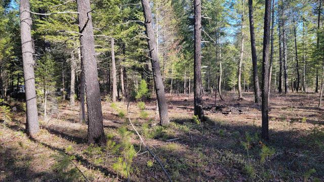 NKN Spring Valley Rd, Newport, WA 99156