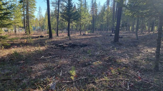 NKN Spring Valley Rd, Newport, WA 99156