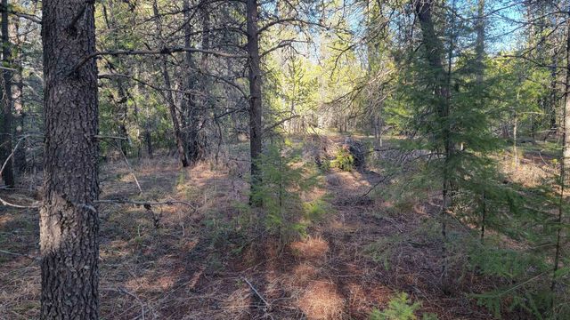 NKN Spring Valley Rd, Newport, WA 99156