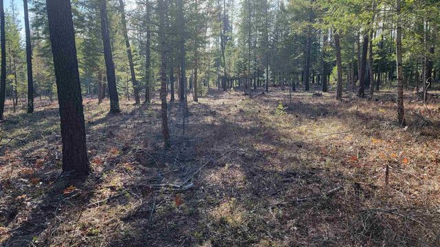 NKN Spring Valley Rd, Newport, WA 99156