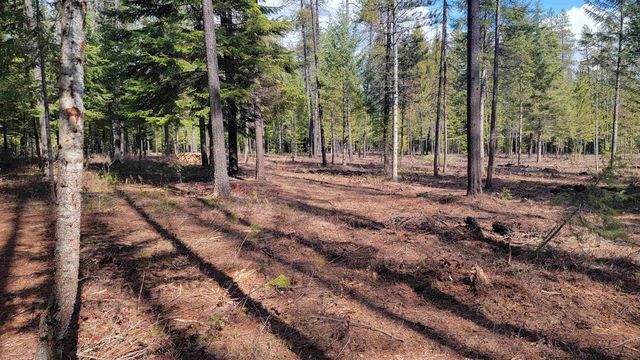 NKN Spring Valley Rd, Newport, WA 99156