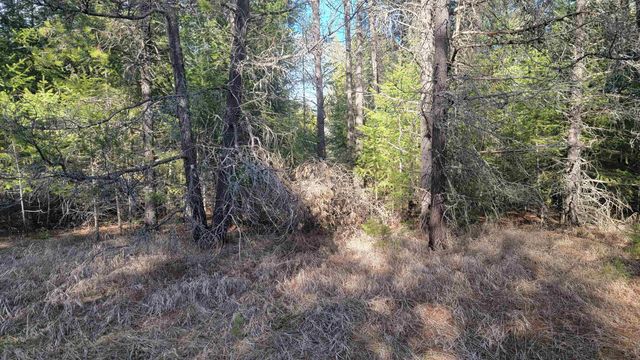 NKN Spring Valley Rd, Newport, WA 99156