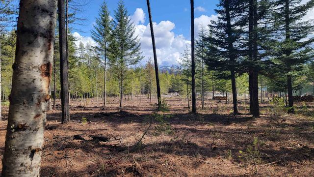 NKN Spring Valley Rd, Newport, WA 99156