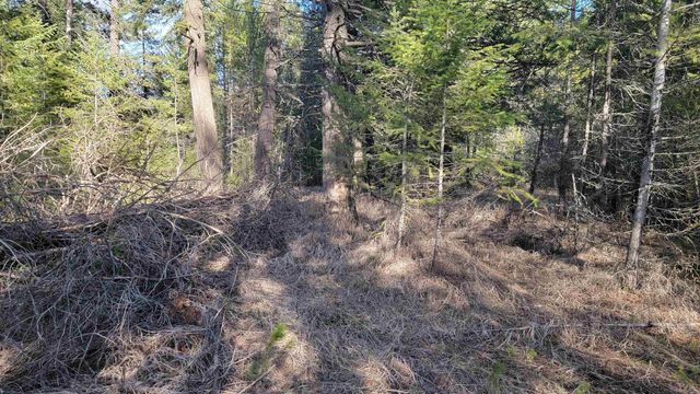 NKN Spring Valley Rd, Newport, WA 99156