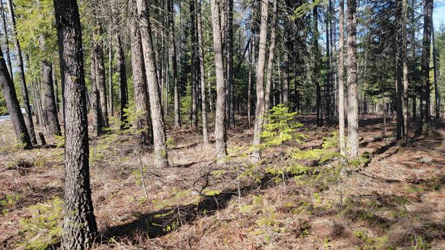 NKN Spring Valley Rd, Newport, WA 99156