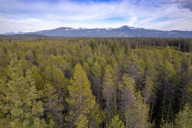 NKN Spring Valley Rd, Newport, WA 99156