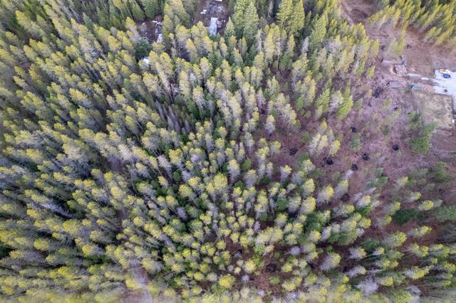 NKN Spring Valley Rd, Newport, WA 99156