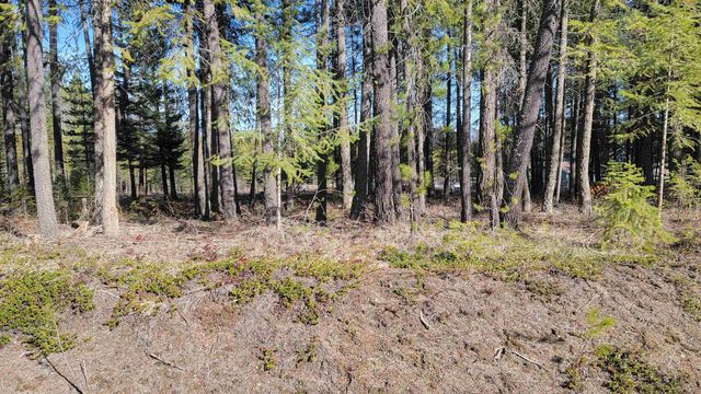 NKN Spring Valley Rd, Newport, WA 99156