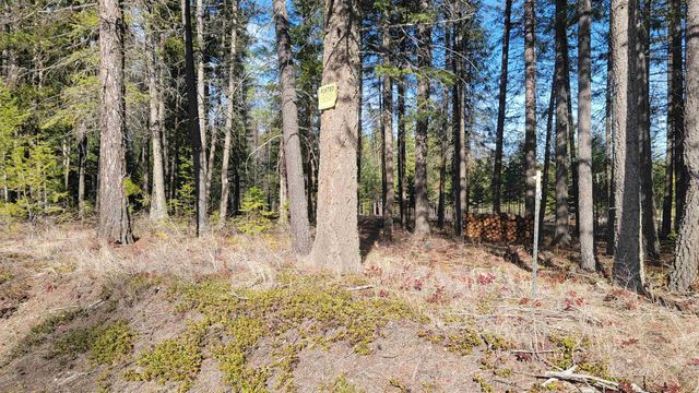 NKN Spring Valley Rd, Newport, WA 99156