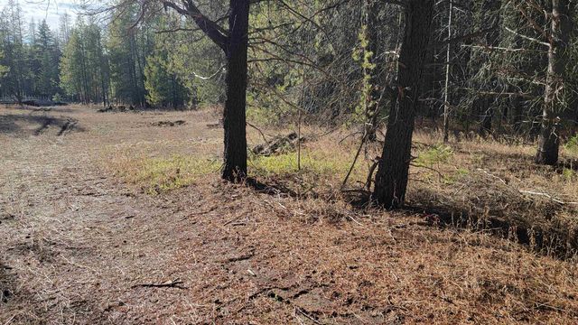 NKN Spring Valley Rd, Newport, WA 99156